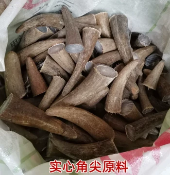 Natural Solid Yak Horn Raw Material White Horn Tip Rough Stock for Knife Handles DIY Handpieces Seal Stamp Prayer Beads