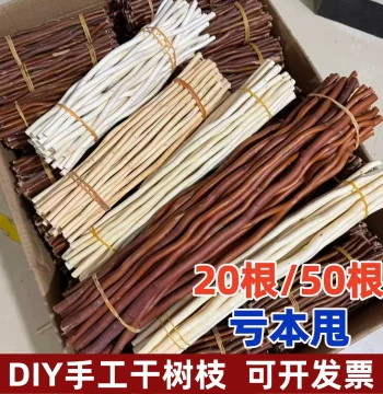 DIY Handmade Natural Dried Branches, DIY Small Wooden Sticks for Environmental Creation Decoration, Kindergarten Craft Branch Materials