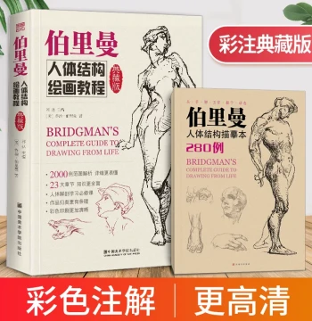 Collector's Edition Bridgman's Life Drawing Tutorial, Authentic Character Sketching Introductory Basic Album, Copybook for Perspective Techniques, Anatomy, Dynamics, Self-Study Teaching Art Handbook, Master Textbook Books, CAFA Practice Notebook