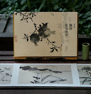 Chen Chun Flower-and-Bird Painting Album - Large 8-Kao Single Sheets, High-Definition Print for Copying and Decoration; Masterpiece Appreciation and Tutorial Collection for Beginners on Chinese Flower Painting Techniques; Hushan Painting Album