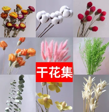 Assorted Yunnan Dried Flowers & Real Flowers - Customizable Cotton & Baby's Breath Bouquets for Home Decor, Living Room Vase Arrangements