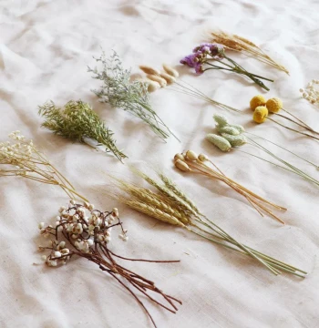 Natural Air-Dried Plant Flowers Bulk DIY Craft Materials, Wreaths, Gift Packaging, Dried Flower Bouquets, Forest Style