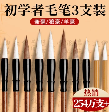 Calligraphy Brush Set for Beginners, Featuring Wolf Hair, Mixed Hair, and Goat Hair Brushes for Chinese Painting, Suitable for Elementary Students, Soft Brushes for Medium and Small Regular Script, Baiyun, Clerical, Running, Seal, and Standard Scripts, Co