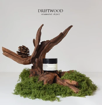 INS Premium Niche Tree Stump Desktop Ornament, Driftwood Landscaping, Wood Branch Aromatherapy Product Photography Prop and Decor