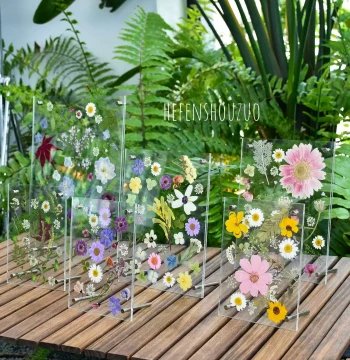Dried Flower Frame DIY Material Kit Pressed Flower Plant Specimen Transparent Acrylic Display Stand Creative Gift Handmade Craft