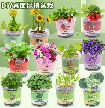 Children's Planting Pot Kit for Kindergarten: Observe Plant Growth, Mini Gardening DIY, Sprouting Projects for Elementary Students