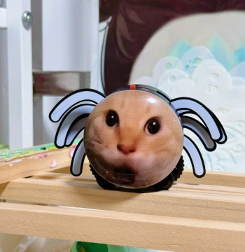 [Abstract Hajimi] Round-Headed Elderly Spider Cat Abstract Cat Climbing Pet Bar Crawling Creative Toy Quirky Gift