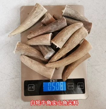 Solid Yak Horn Tip Raw Material White Yak Horn Pieces DIY Handle Pieces Cigarette Holders Thumb Rings Prayer Beads Seal Carving Materials