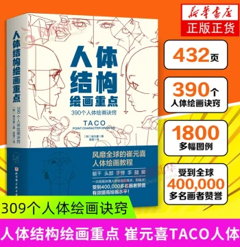 Key Points in Human Structure Drawing - Anatomy Guide by Cui Yuanxi (TACO); Tutorial for Animation and Artistic Figure Drawing Techniques