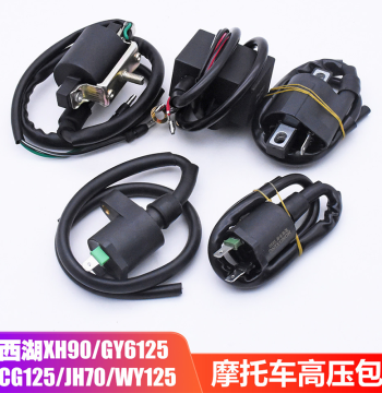Motorcycle High Voltage Coil for Zhujiang Kymco WY125 JH70 Ignition Coil Xingfu CG125 GY6-125 High Voltage Pack