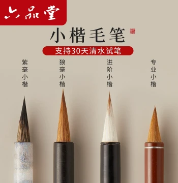 Liupintang Professional Small Regular Script Brush Set: Fine Tip Soft Brush, Chicken-Quill Style, Premium Hairpin Flower Design, Pure Wolf/Goat/Zi Hao Blend for Adults and Beginners in Calligraphy Practice