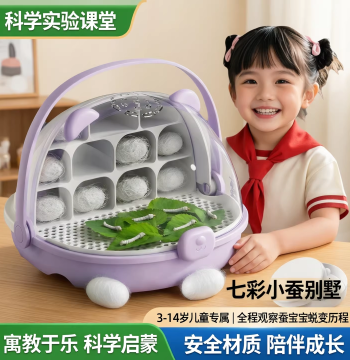 Silkworm Baby Raising Kit for Students, Egg Laying, Larvae Cultivation Box, Colorful Live Silkworms for Ages 1-3