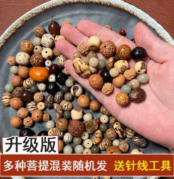 Natural Bodhi Seed Loose Beads, Vajra, Phoenix Eye, Dragon Eye, Qilin Eye, Soapberry, Bodhi Root, Bracelet DIY Package Pendant