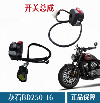 Benda Huishi BD250-16 Left and Right Switch Assembly Motorcycle Ignition Brake Lever Turn Signal Control Button Plug