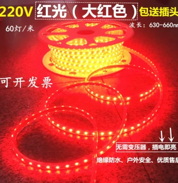 Waterproof Red LED Flexible Light Strip: 220V High-Brightness 5050 SMD Red Light Bar for Ceiling Installations, Bars, and KTV Venues