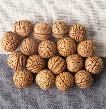 2025 Wild Peach Pit Bracelet Material Nearly Round Peach Pits Brain Texture Drilled and Undrilled Peach Pit Beating Bag