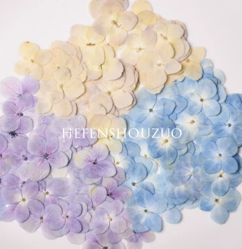 Hefen Handmade Natural Color Hydrangea Real Flowers Special Offer 38 Free Shipping, Two-Tone Dried Hydrangeas for Epoxy Resin DIY Materials
