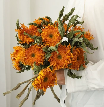 Teddy Sunflower Dried Flower Bouquet - Natural Air-Dried Real Flowers for Living Room Display, Floral Arrangement, and Eternal Flower Decor