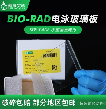 Yucheng Experiment Western Blot Short Glass Plates, WB Electrophoresis Thick Glass Plates, Long Plates Universal for Bio-Rad 1653308 1653310 1653311 1653312