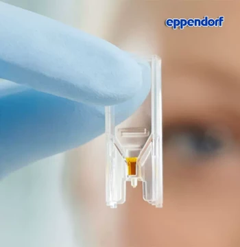 UVette Imported Plastic Cuvettes, Eppendorf 50-2000ul, Germany 30106300