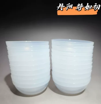 (20 Coin Washing Bowls) Jingruchu Ancient Coin Copper Coin Cleaning and Maintenance Bowl for Removing Rust While Preserving Original Patina