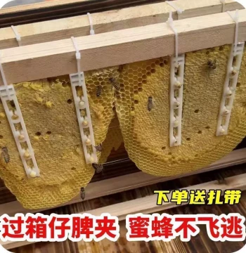 Top-Grade Hive Frame Clips and Foundation Guides - Plastic Clips and Fixing Strips for Wild Bee Transfer
