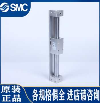 Genuine SMC Cylinder CY1R20/CY3R20/CY3RG/H-100/200/250/300/350/400/500