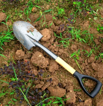 Manganese Steel Gardening Shovel for Kids and Adults, Ideal for Planting Trees, Vegetables, Flowers, Beach Digging, and Outdoor Farming