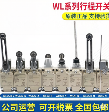 Travel Switches WLCA12-2, WLCA2-2N, WLD28-N, WLD2-Q, WLCL, WLNJ-TH - High Temperature Resistant