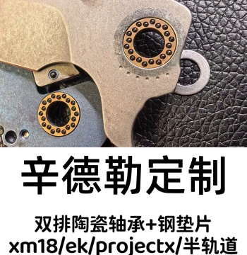 Aurora Bearing 2.0 Schindler Series Double Row Ceramic Bearing + Washer Set Non-Drop Ball Structure