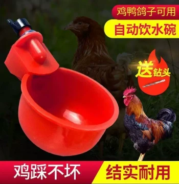 Thickened Poultry Waterer for Chickens, Ducks, and Geese - Automatic Feeder Bowl and Trough