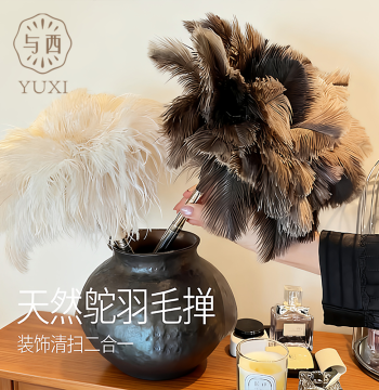 Yuxi Natural Ostrich Feather Duster with Extendable Handle - Anti-Static Cleaner for High Shelves and Gaps