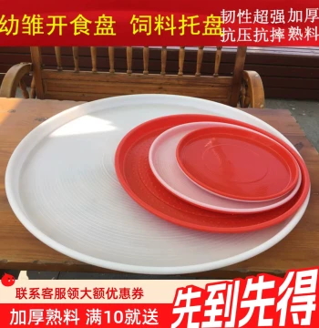 Chick Starter Feeder Tray for Baby Chicks, Ducks, and Geese - Poultry Brooding Feed Pan and Bucket