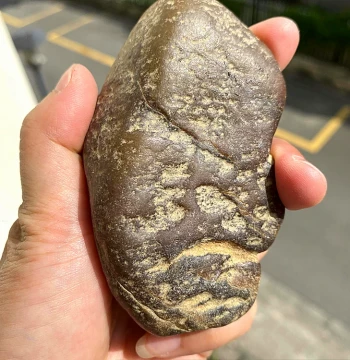 [Special] Old Mine Damakan Peeled Red Jadeite and Yellow Jadeite Hand Piece, Colored Material Small Exquisite Natural Myanmar Jadeite Rough Stone