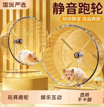 Silent Golden Hamster Exercise Wheel: Transparent Printed Large-Diameter Runner (Non-Jamming) for Interactive Cage Play