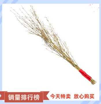 Children's Nan Bamboo Discipline Whip, Bamboo Branches, Thin Soft Punishment Strip for Home Use