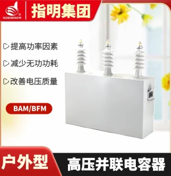 Zhiming Group BFM11-100-3W Three-Phase High-Voltage Power Capacitor Series High-Voltage Shunt Capacitor