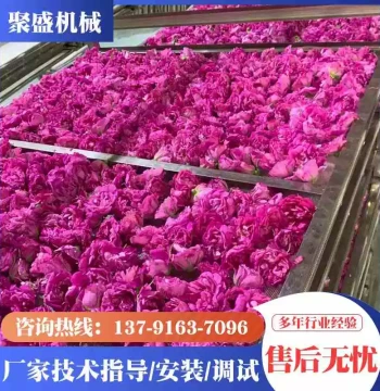 Petal Extract Liquid Dryer Rose Flower Dried Flower Drying Equipment Fully Automatic Intelligent Temperature Control Fresh Flower Drying Oven