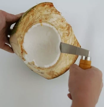 Coconut Meat Extractor Tool, Stainless Steel Thickened Coconut Flesh Scoop for Eating and Removing Meat