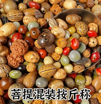 Assorted Mixed Bodhi Seeds Random Combination Jin Gang No-Huanzi Bodhi Root Mixed DIY Bracelet Loose Beads