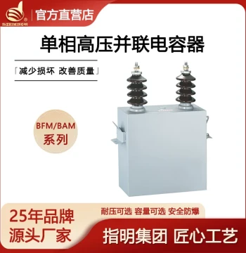 Designated Manufacturer Single-Phase High-Voltage Power Capacitor BFM6.3-100-1W High-Voltage Shunt Capacitor 6.3kv