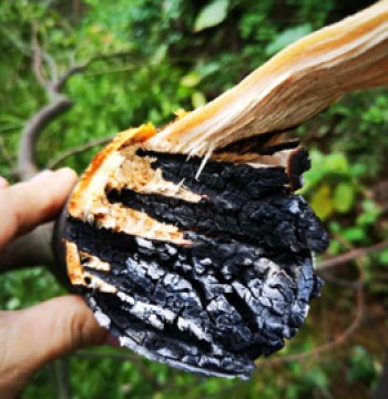 600-Meter Intelligent Laser Obstacle Removal Device - High-Altitude Cutting for Tree Branches, Honeycombs, Bird Nests, and Kite Strings for Power and Telecom Utilities