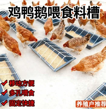 Polypropylene Feeding Trough for Chickens, Ducks, and Geese - Dual-Use Wet and Dry Feed Container for Home Farming