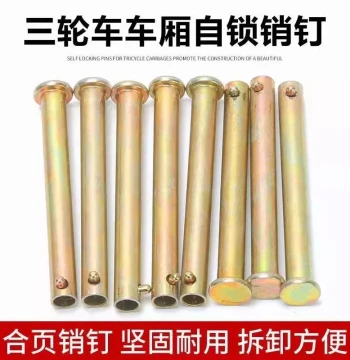 Electric Tricycle Motorcycle Cargo Box Pin, Door Latch, Dump Bed Hinge, and Pin Accessories