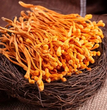 Hunan Xiangxi Farmhouse Additive-Free Deep Mountain Cordyceps Flowers Dried Goods