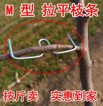 Fruit Tree Branch Bender Pressing Branch Shaping Angle Opening Pulling Branch Garden Agricultural Horticultural Tool Free Shipping Fruit Tree Leveling Citrus Pomegranate