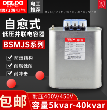 Delixi Capacitor BSMJS Self-Healing Low-Voltage Capacitor 0.45 0.4 101516182025304050v-