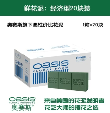 Oasis® Floral Foam Economy Pack 20 Pieces Flower Arranging Wet Floral Foam Fresh Floral Foam Original Oases