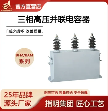Zhiming Manufacturer Three-Phase High-Voltage Power Capacitor BFM11-100-3W High-Voltage Shunt Capacitor Series