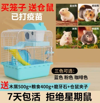 Live Small Hamsters with Free Cage Buy Cage Get One Live Hamster Pet with Cage Golden Bear Pet